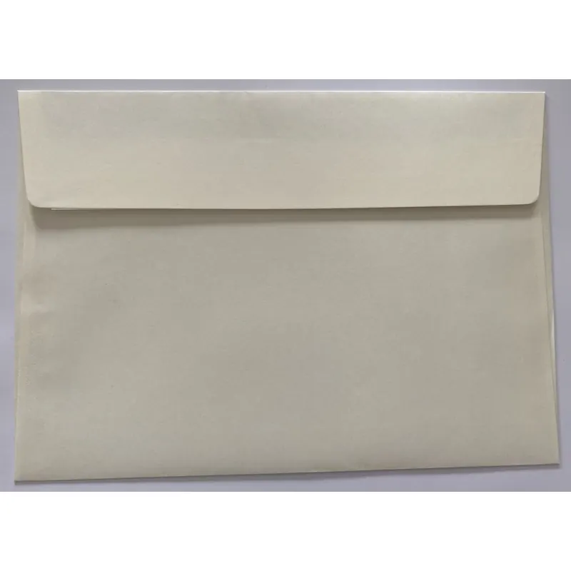 250 Stück Briefumschläge C5, haftklebend, ohne Fenster, 115g/m², 230 x 160 mm