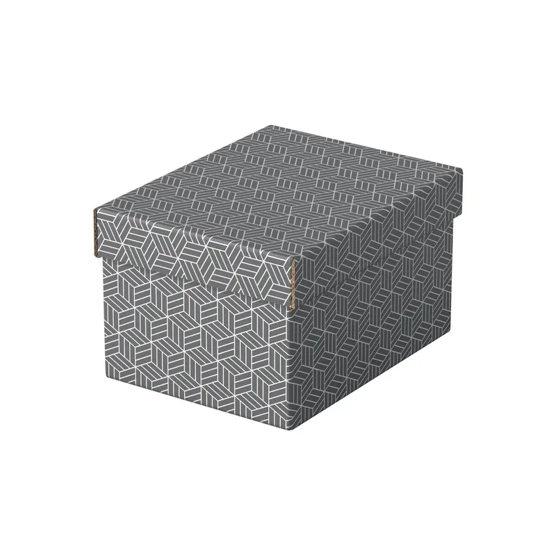 Aufbewahrungsbox Esselte Home 628281 - Klein 200 x 150 x 255 mm grau Wellpappe Pckg/3