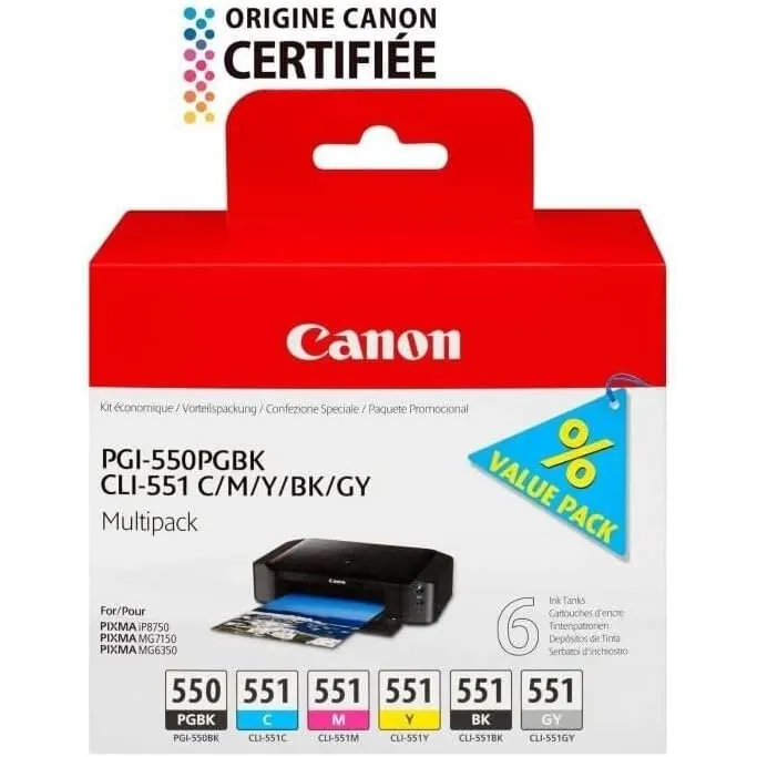 Canon PGI-550 / CLI-551 PGBK/C/M/Y/BK/GY Druckertinte - Multipack mit 6 Tinten für PIXMA Tintenstrahldrucker ORIGINAL