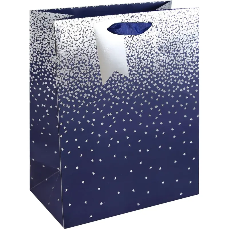 Clairefontaine 30861-3C - Geschenktasche 21,5x10,2x25,3 cm, ideal für Geschenke, Sternregen Blau, 1 Stück
