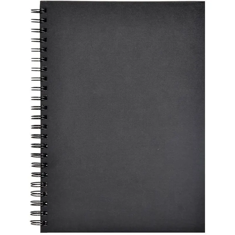 Clairefontaine 34265C Skizzenbuch mit Doppelspirale quer Goldine, Din A4, 29.7 x 21 cm, 140 g, schwarz