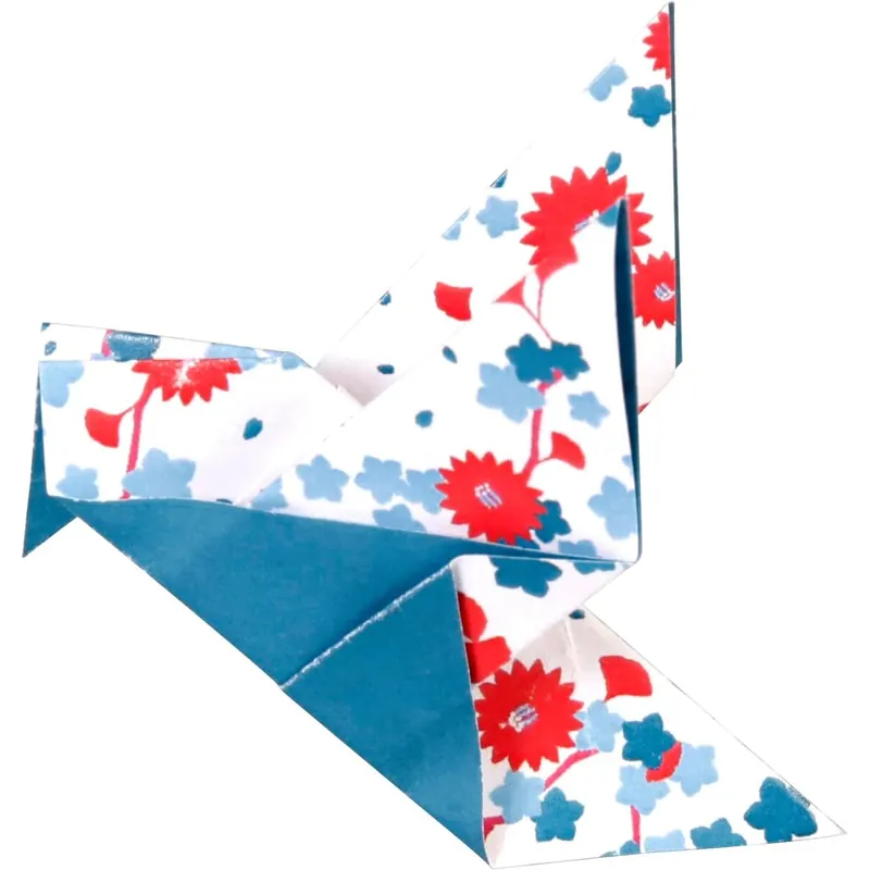Clairefontaine 95347C - Pack mit 60 Blatt Origamipapier, mit 3 Formaten, 10 x 10cm, 15 x 15cm, 20 x 20cm, 70g, 1 Pack, Hanayo