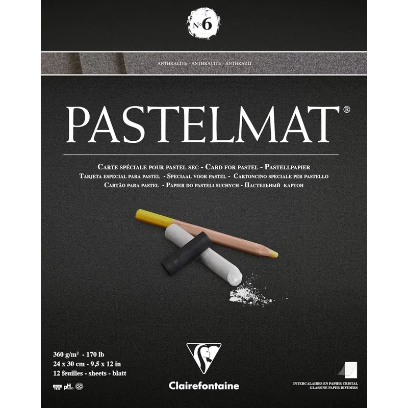 Clairefontaine 96004C Zeichenblock Pastelmat (kopfseitig geleimt, 12 Blatt, 24 x 30 cm, 360 g, mit 4 transparenten Trennblättern, Spezielkarton ideal fur Pastell und Kreide) anthrazit