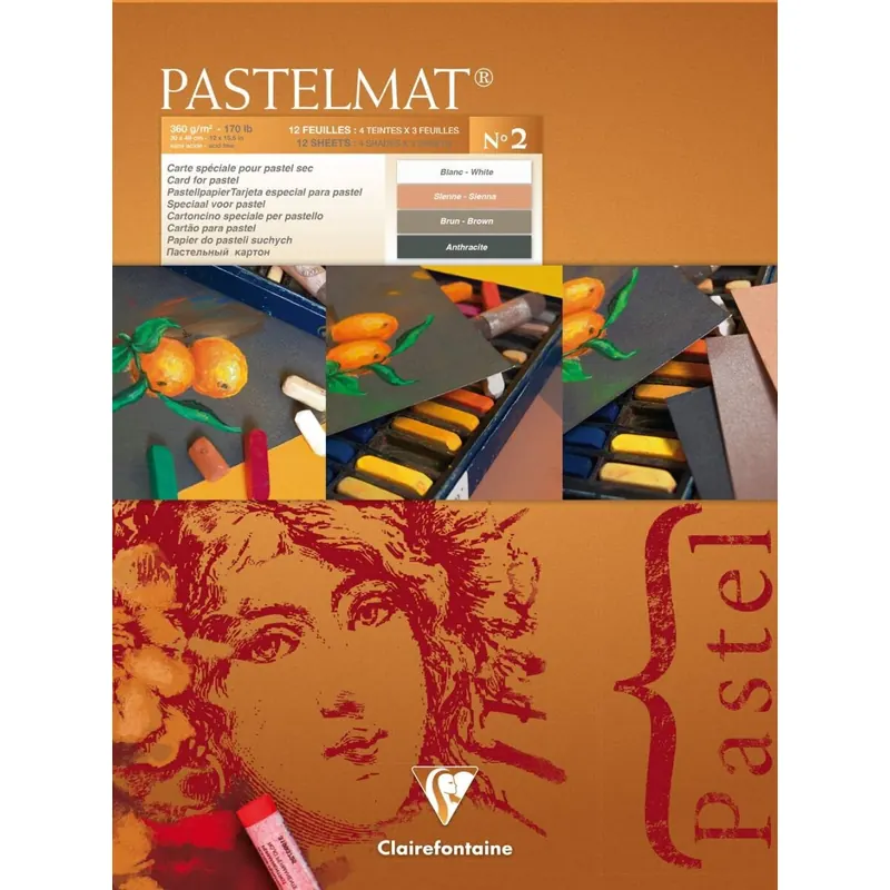 Clairefontaine 96008C Zeichenblock Pastelmat (12 Blatt, 30 x 40 cm, 360 g, mit 4 transparenten Trennblättern, Spezielkarton ideal fur Pastell und Kreide) braun, anthrazit, weiß und hellbraun