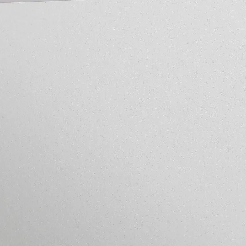 Clairefontaine 97272C Packung (mit 25 Bögen Zeichenpapier Maya, 50 x 70 cm,270g, glatt, ideal für Trockentechnik und Einrahmen) hellgrau