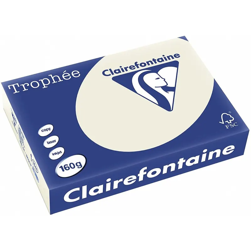 Clairefontaine Trophee Papier 1041C Grau 160g/m² DIN-A4 - 250 Blatt