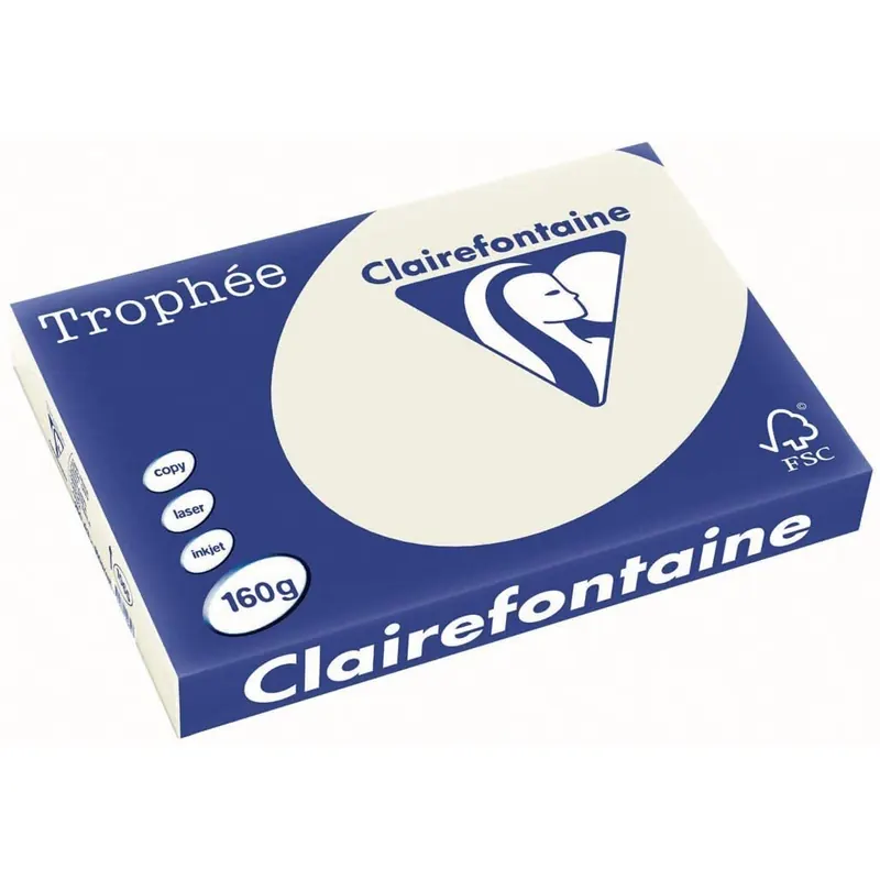 Clairefontaine Trophee Papier 1065C Grau 160g/m² DIN-A3 - 250 Blatt