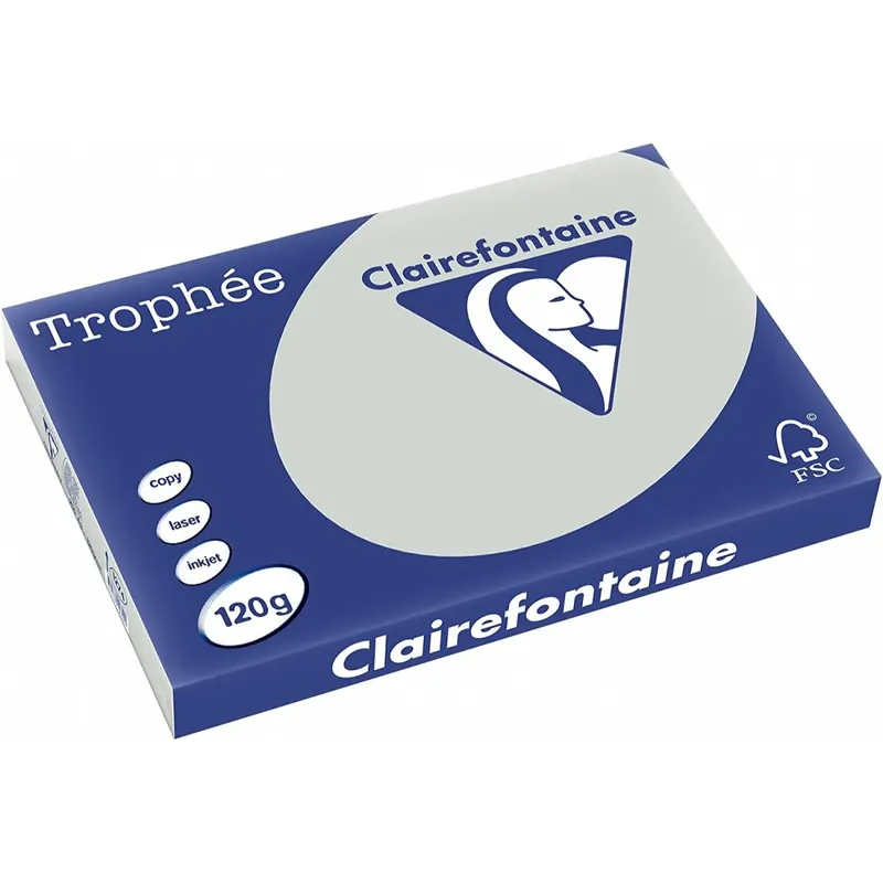 Clairefontaine Trophée Stahlgrau 120g/m² DIN-A3 - 250 Blatt