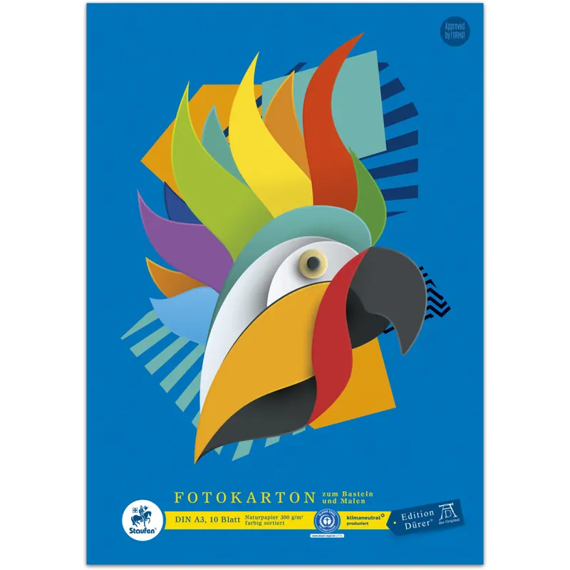 Fotobastelkarton Staufen Edition Dürer 053635000 - A3 297 x 420 mm bunt geleimt Blauer Engel 10 Blatt Recyclingpapier 300 g/qm²