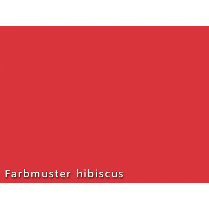 Fotokarton, 300g/m², 50x70 cm, P/10 Bogen, hibiscus
