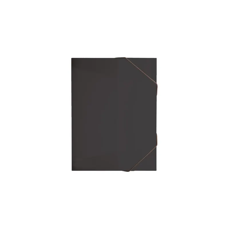 Heftsammler Brunnen FACT! 41639 - A4 onyx PP-Folie