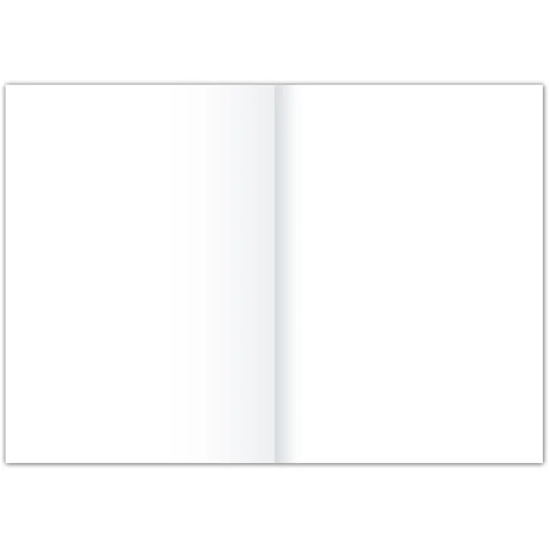 Kanzleipapier Staufen Style 608469000/10 - A3/A4 gefalzt Lineatur20 blanko klimaneutral extraweißes Qualitätspapier 80 g/qm² Pckg/10