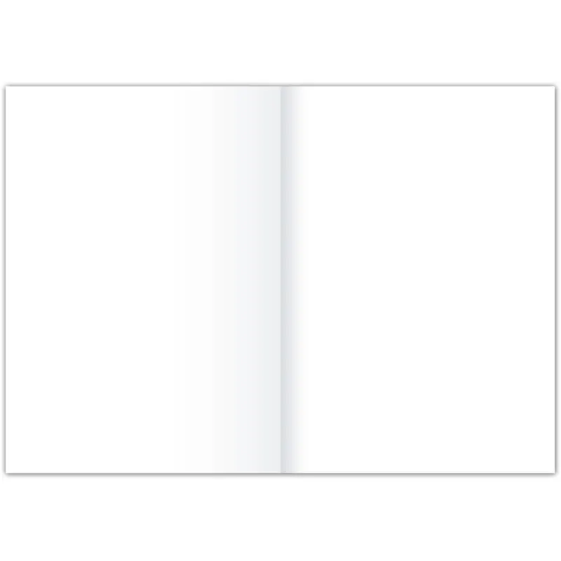 Kanzleipapier Staufen Style 608469000 - A3/A4 gefalzt Lineatur20 blanko klimaneutral extraweißes Qualitätspapier 80 g/qm² Pckg/250