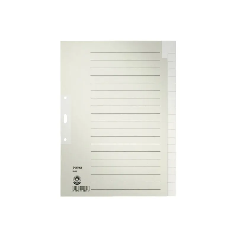 Register Leitz 6096 - A4 grau blanko 20-teilig Recyclingpapier 100 g/m²