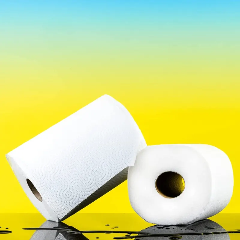 Renova Küchenrollen Maxi Absorption Extra XXL 2 Rollen Standard XXL Papier FSC zertifiziert