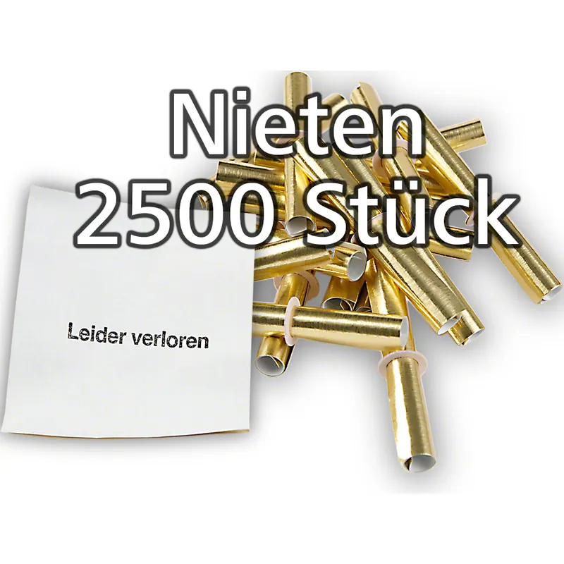 Röllchenlose gold-glänzend, 2500 Nieten (5 x P/500)