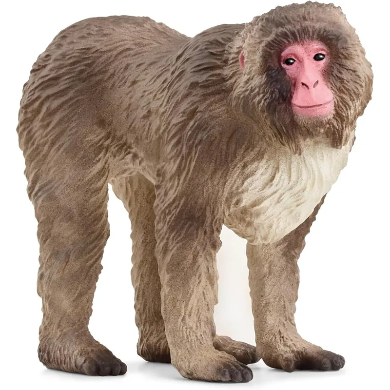 SCHLEICH 14871 Japanmakak, ab 3 Jahren, WILD Life - Spielfigur