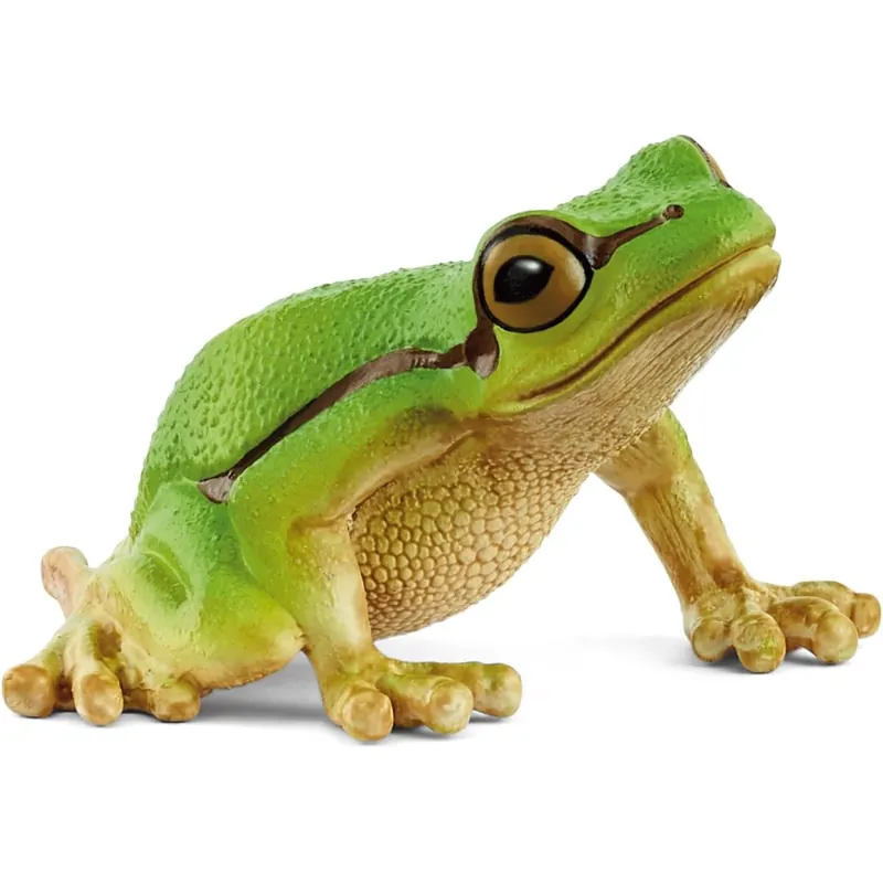 schleich WILD Life | Europäischer Laubfrosch 14882 | detailgetreue Tierfiguren | Zoo Spielzeug
