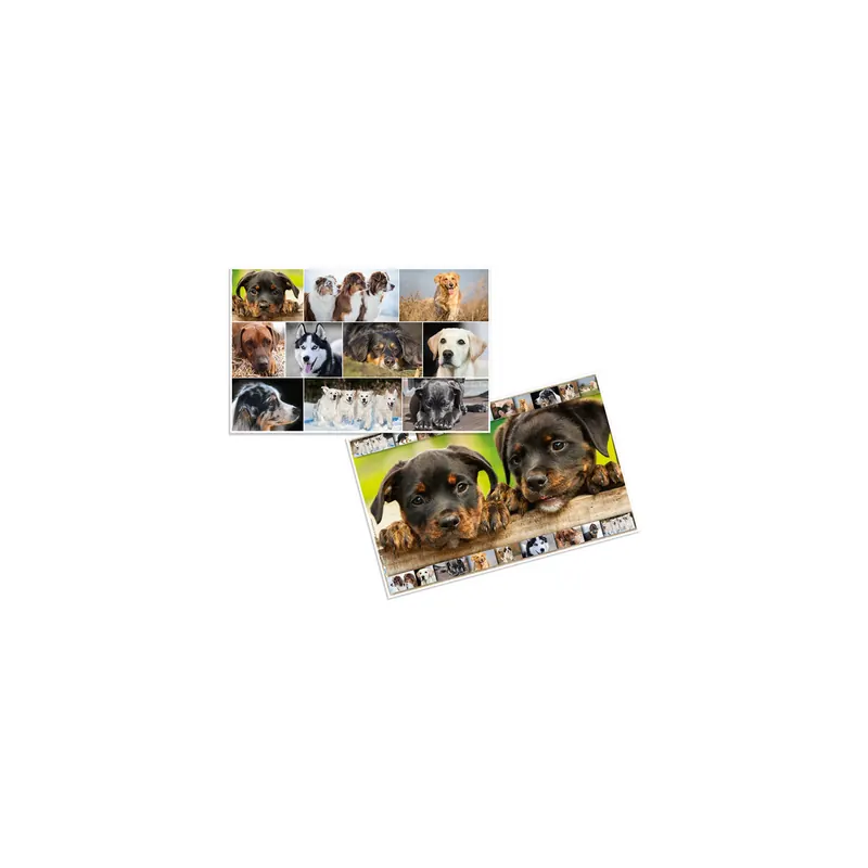 Schreibunterlage Herma 19378 - 55 x 35 cm Hunde Karton