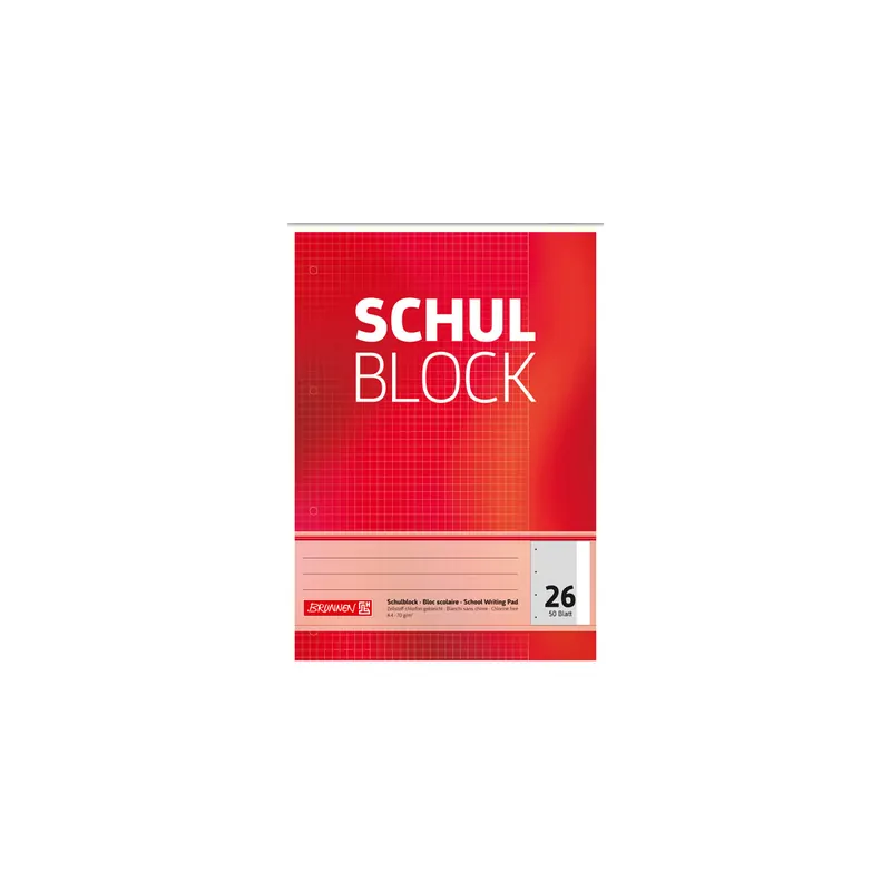 Schulblock Brunnen Standard 52526 - A4 210 x 297 mm kariert Lineatur26 5 x 5 mm mit Rand 50 Blatt 4-fach-Lochung Qualitätspapier 70 g/m²