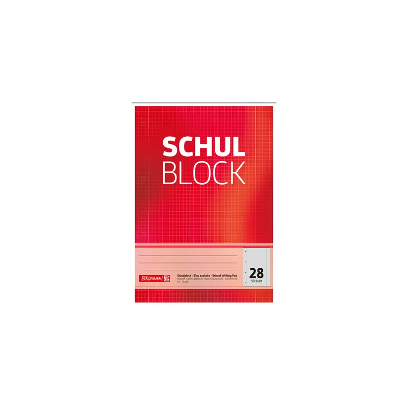 Schulblock Brunnen Standard 52528 - A4 210 x 297 mm kariert Lineatur28 5 x 5 mm mit Doppelrand 50 Blatt 4-fach-Lochung Qualitätspapier 70 g/m²