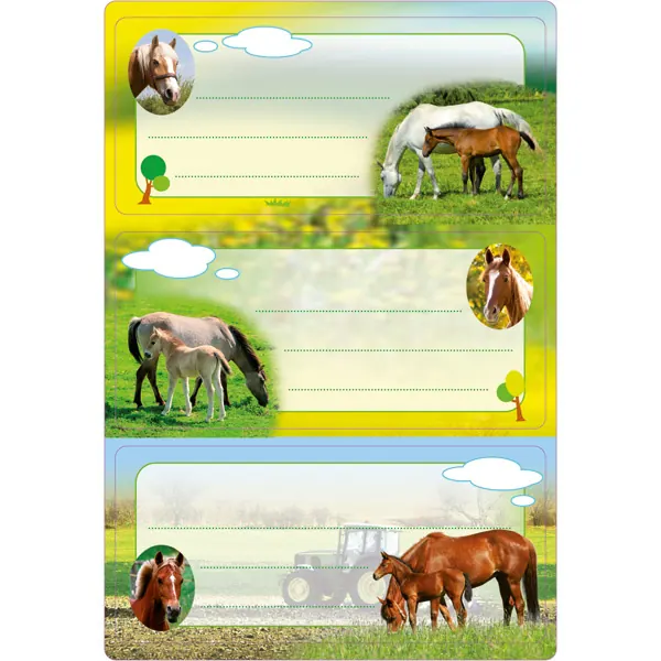 Schulbuchetikett Herma 5568 - auf Bogen 84 x 120 mm Tiere permanent für Handbeschriftung Papier Pckg/6
