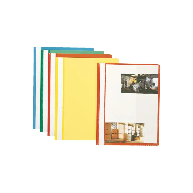 Sichthefter Esselte 5629010 - A4 310 x 225 mm farbig sortiert mit Beschriftungsfeld umweltschonende PP-Folie 10er-Set