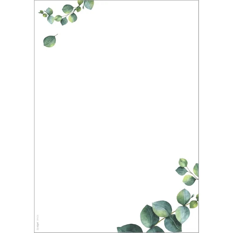 SIGEL DP626 Hochwertiges Motivpaper, Druckerpapier, Eukalyptus, grün, A4, 100 Blatt, Motiv beidseitig, 90 g/m², für Speisekarten, aus nachhaltigem Papier