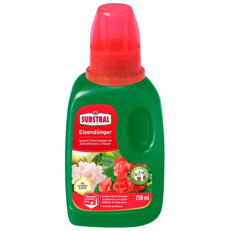 Substral Eisendünger, 250 ml - Flüssigdünger gegen Eisenmangel an Zierpflanzen und Rasen, für Gieß- und Spritzanwendung